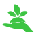 Categor&iacute;a